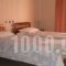 Hotel Koutriaris_best prices_in_Hotel_Central Greece_Viotia_Arachova