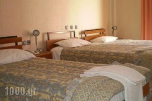 Hotel Koutriaris_lowest prices_in_Hotel_Central Greece_Viotia_Arachova