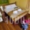 Meraki Apartments and Studios_best deals_Apartment_Peloponesse_Argolida_Tolo