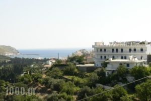 Paradise Art Hotel_best prices_in_Hotel_Cyclades Islands_Andros_Andros City