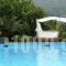 Paradise Art Hotel_best deals_Hotel_Cyclades Islands_Andros_Andros City