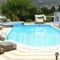 Paradise Art Hotel_accommodation_in_Hotel_Cyclades Islands_Andros_Andros City