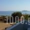 Villa Zefiros_accommodation_in_Villa_Cyclades Islands_Andros_Andros City