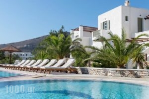 Yialos Beach Hotel_lowest prices_in_Hotel_Cyclades Islands_Ios_Ios Chora