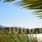 Almyrida Rooms_best prices_in_Room_Crete_Chania_Fournes