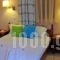 Fenareti Apartments_best deals_Apartment_Aegean Islands_Lesvos_Eressos