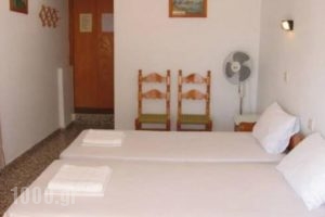 Alexandros_holidays_in_Hotel_Sporades Islands_Skopelos_Skopelos Chora