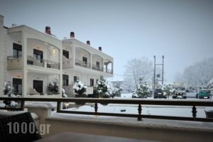 Eliton Hotel & Spa_best prices_in_Hotel_Macedonia_Pella_Aridea