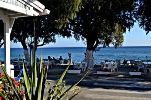 Vatera Beach Hotel_lowest prices_in_Hotel_Aegean Islands_Lesvos_Polihnitos