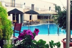 Oasis Hotel in Stalos, Chania, Crete