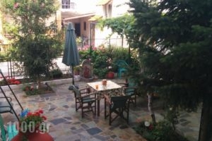 Studios Drakontis_best prices_in_Hotel_Aegean Islands_Thasos_Thasos Chora