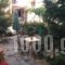 Studios Drakontis_best prices_in_Hotel_Aegean Islands_Thasos_Thasos Chora