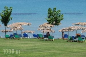 Levantino Studios & Apartments_lowest prices_in_Apartment_Ionian Islands_Zakinthos_Laganas