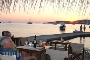 Hotel Livadia_best prices_in_Hotel_Cyclades Islands_Paros_Paros Chora