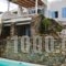 Villa Lair_accommodation_in_Villa_Cyclades Islands_Mykonos_Mykonos st Areas