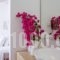 Rhenia Hotel_travel_packages_in_Cyclades Islands_Mykonos_Mykonos ora