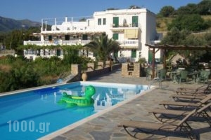 Vassiliki Studios_accommodation_in_Hotel_Cyclades Islands_Andros_Andros City