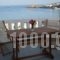 Vassiliki Studios_best prices_in_Hotel_Cyclades Islands_Andros_Andros City