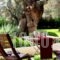 Olivastro Villa_best deals_Villa_Ionian Islands_Lefkada_Lefkada Chora