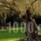 Olivastro Villa_lowest prices_in_Villa_Ionian Islands_Lefkada_Lefkada Chora