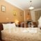 Hotel Orama_holidays_in_Hotel_Central Greece_Evritania_Agrafa