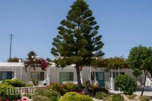 Parasporos Village_lowest prices_in_Hotel_Cyclades Islands_Milos_Milos Chora