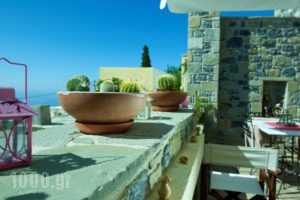 Diktynna Traditional Villas_lowest prices_in_Villa_Crete_Lasithi_Anatoli