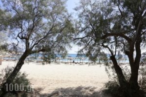 Aphrodite Beach Hotel & Resort_lowest prices_in_Hotel_Cyclades Islands_Mykonos_Mykonos Chora