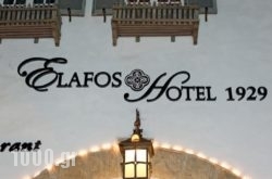 Elafos Hotel in Paradisi, Rhodes, Dodekanessos Islands
