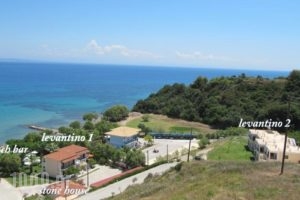 Levantino Studios & Apartments_accommodation_in_Apartment_Ionian Islands_Zakinthos_Laganas