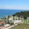 Levantino Studios & Apartments_accommodation_in_Apartment_Ionian Islands_Zakinthos_Laganas