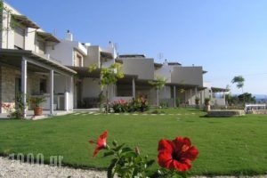Ammouda Villas_lowest prices_in_Villa_Macedonia_Halkidiki_Chalkidiki Area