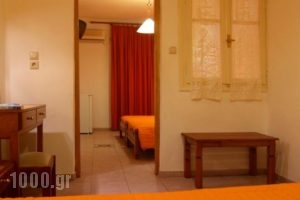 Hotel Orfeas_lowest prices_in_Hotel_Central Greece_Fokida_Delfi