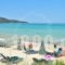 Green Sea Apartments_holidays_in_Apartment_Aegean Islands_Thasos_Thasos Chora
