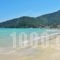 Green Sea Apartments_best deals_Apartment_Aegean Islands_Thasos_Thasos Chora