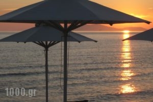 Hotel Horizon_travel_packages_in_Ionian Islands_Corfu_Arillas