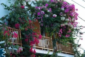 Arian Hotel_lowest prices_in_Hotel_Cyclades Islands_Paros_Paros Chora