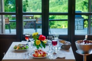 Aristi Mountain Resort_holidays_in_Hotel_Epirus_Ioannina_Aristi