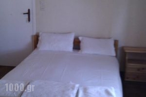 Krinos_accommodation_in_Hotel_Ionian Islands_Lefkada_Lefkada's t Areas