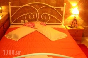 Guesthouse Chrysa_best prices_in_Hotel_Central Greece_Viotia_Arachova