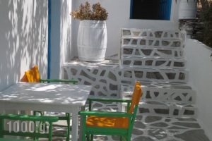 Vounali Rooms_best prices_in_Room_Cyclades Islands_Paros_Paros Chora
