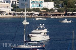 Hotel Livadia_holidays_in_Hotel_Cyclades Islands_Paros_Paros Chora
