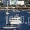 Hotel Livadia_holidays_in_Hotel_Cyclades Islands_Paros_Paros Chora