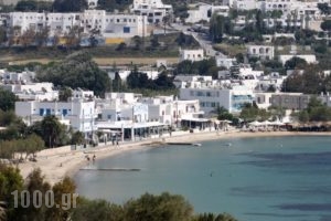 Hotel Livadia_best deals_Hotel_Cyclades Islands_Paros_Paros Chora