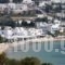 Hotel Livadia_best deals_Hotel_Cyclades Islands_Paros_Paros Chora