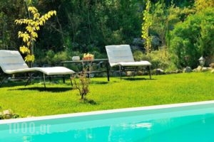 Mounty Island - Ermis Villa_lowest prices_in_Villa_Ionian Islands_Lefkada_Karia