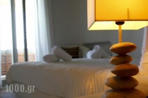 Villa Assa_lowest prices_in_Villa_Cyclades Islands_Mykonos_Elia