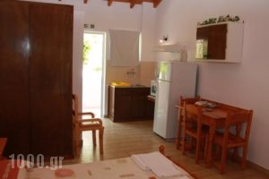 Skevoulis Studios_lowest prices_in_Hotel_Ionian Islands_Corfu_Benitses