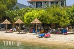 Delfini in Lefkada Rest Areas, Lefkada, Ionian Islands