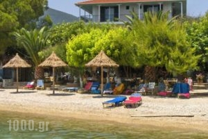 Delfini_accommodation_in_Hotel_Ionian Islands_Lefkada_Lefkada's t Areas